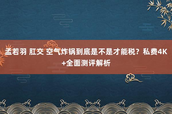 孟若羽 肛交 空气炸锅到底是不是才能税？私费4K+全面测评解析