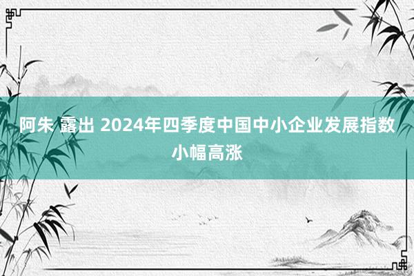阿朱 露出 2024年四季度中国中小企业发展指数小幅高涨