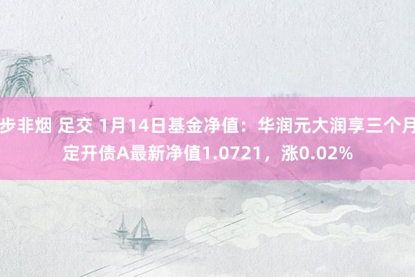 步非烟 足交 1月14日基金净值：华润元大润享三个月定开债A最新净值1.0721，涨0.02%