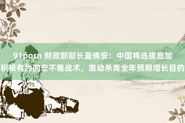91porn 财政部部长蓝佛安：中国将选拔愈加积极有为的宏不雅战术，激动杀青全年预期增长目的