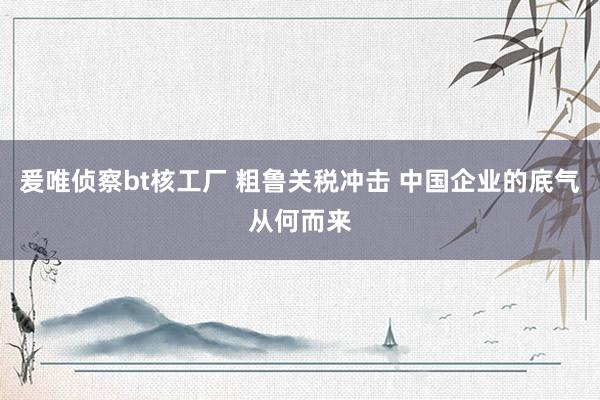 爰唯侦察bt核工厂 粗鲁关税冲击 中国企业的底气从何而来